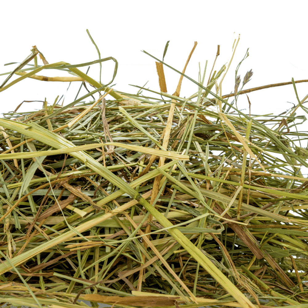 Wiesenheu