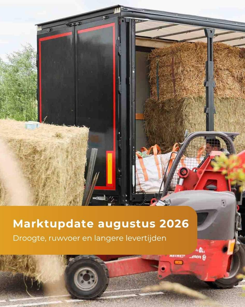 Marktupdate - August 2026