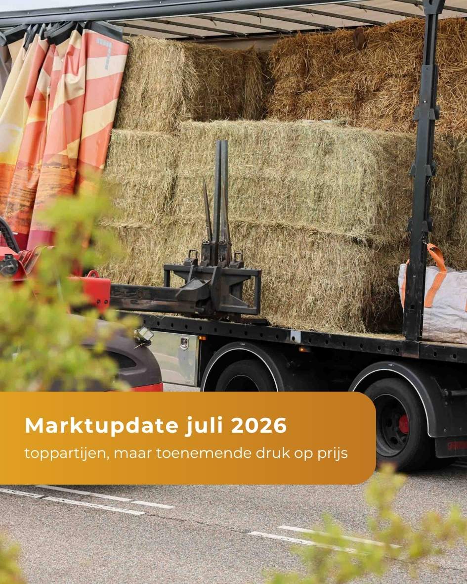 Marktupdate - Juli 2026