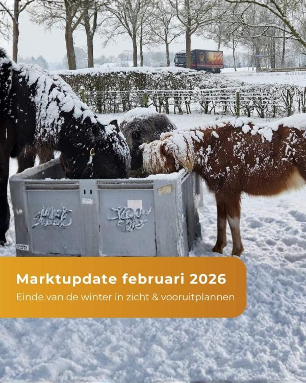 Marktupdate - Februar 2026