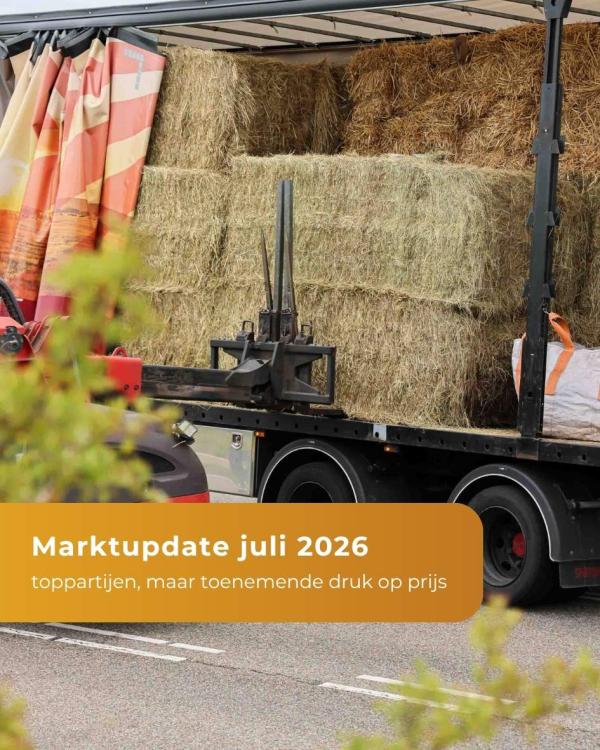 Marktupdate - Juli 2026